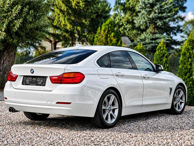 BMW 420 Sadlno - zdjęcie 6