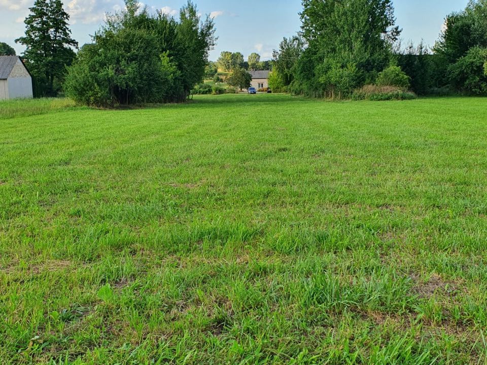 Działka rolno-budowlana w Dąbrówce Kościelnej Dąbrówka Kościelna - zdjęcie 6