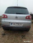 2.0 Tdi Cr 140km Salon Pl Niski przebieg 4x4 Tiguan Poznań - zdjęcie 4