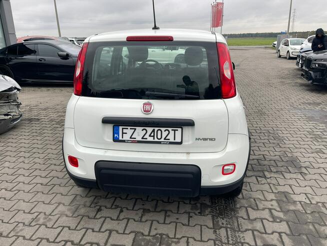 Fiat Panda Salon Polska_mHEV Klimatyzacja Gliwice - zdjęcie 5