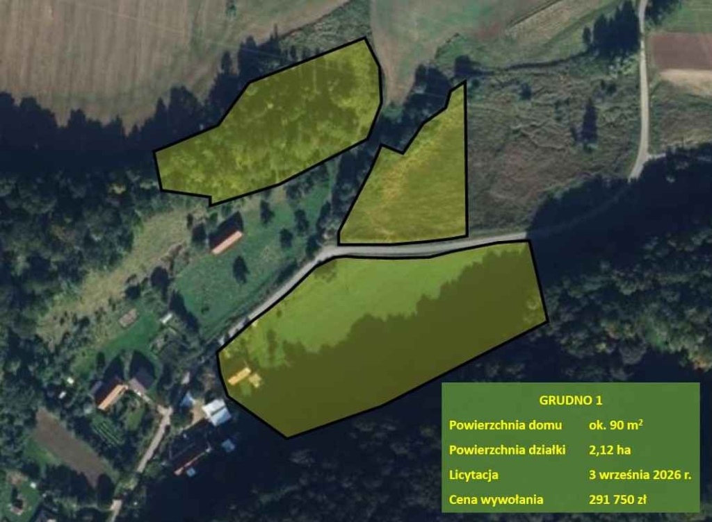 Dom jednorodzinny i działki niezabudowane, licytacja Grudno - zdjęcie 2