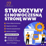 Stwórz nowoczesną stronę www, która wyróżni Twoją firmę na rynku! Fabryczna - zdjęcie 1