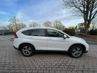 Honda CR-V 1.6i-DTEC bezwypadkowy serwisowana Słupsk - zdjęcie 4