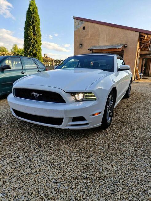 Ford Mustang Cabrio 2014r 3.7 305KM Częstochowa - zdjęcie 3