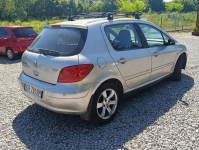 Peugeot 307 Krajowy, benzyna 1.6, klimatyzacja Dulowa - zdjęcie 6