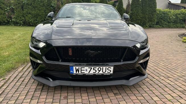 Ford Mustang Przasnysz - zdjęcie 9