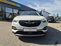 Opel Grandland X Design Line 1.6 Turbo PHEV 225 KM AT8 FWD Giżycko - zdjęcie 2