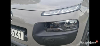 Cactus Przed zakupem sprawdz go w garażu samoobsługowym Kraków - zdjęcie 7