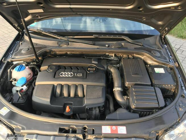 Audi A3 1.6 MPI 102 KM z Niemiec Po wym rozrządu Lesznowola - zdjęcie 5
