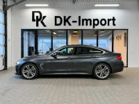 BMW 420 Sadlno - zdjęcie 3