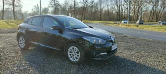 Renault Megane Krajowy, drugi właściciel. Goczałkowice-Zdrój - zdjęcie 3