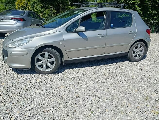 Peugeot 307 Krajowy, benzyna 1.6, klimatyzacja Dulowa - zdjęcie 3