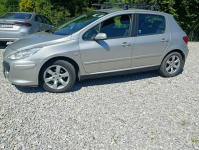 Peugeot 307 Krajowy, benzyna 1.6, klimatyzacja Dulowa - zdjęcie 3