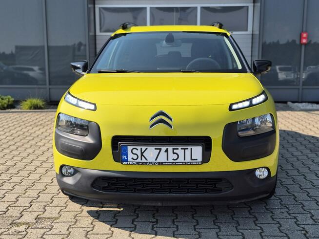 C4 Cactus  - Bezwypadkowy - Polska - Nawigacja Studzienice - zdjęcie 2