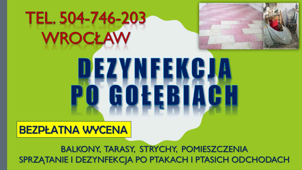 Ptasie odchody, sprzątanie, Wrocław, t.504746203. dezynfekcja balkonu. Psie Pole - zdjęcie 4
