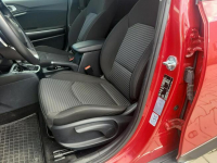 Kia XCeed 1,5 T-GDI 160 KM 7DCT Wersja M+SMT Salon PL Bełchatów - zdjęcie 12