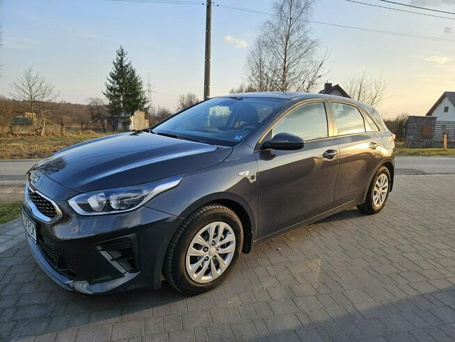 Kia Cee'd Polski salon,Kamera,Android,Gwarancja 2028 Liszki - zdjęcie 3