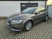 Audi A3 1.4 TFSi 125KM xenon BEZWYPADEK 5 drzwi ZADBANY BDB stan Gdynia - zdjęcie 11