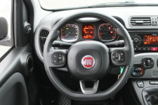 Fiat Panda 1.2-Klima-LPG-Po serwisie. Maków Mazowiecki - zdjęcie 11