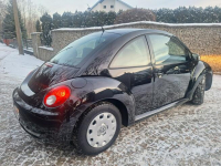 Volkswagen New Beetle Siewierz - zdjęcie 4
