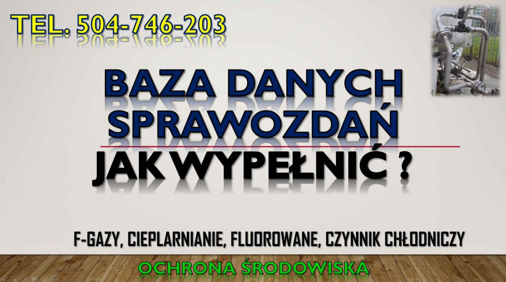 Baza Danych Sprawozdań, cena tel. 504-746-203. Obsługa firmy, fgazy Psie Pole - zdjęcie 8