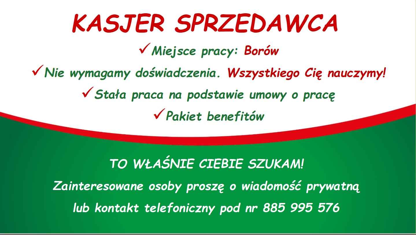 Praca w markecie, Dino Polska S.A., Borów Borów - zdjęcie 1