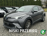 Toyota C-HR * WKRÓTCE * W * OFERCIE * Kotarwice - zdjęcie 1