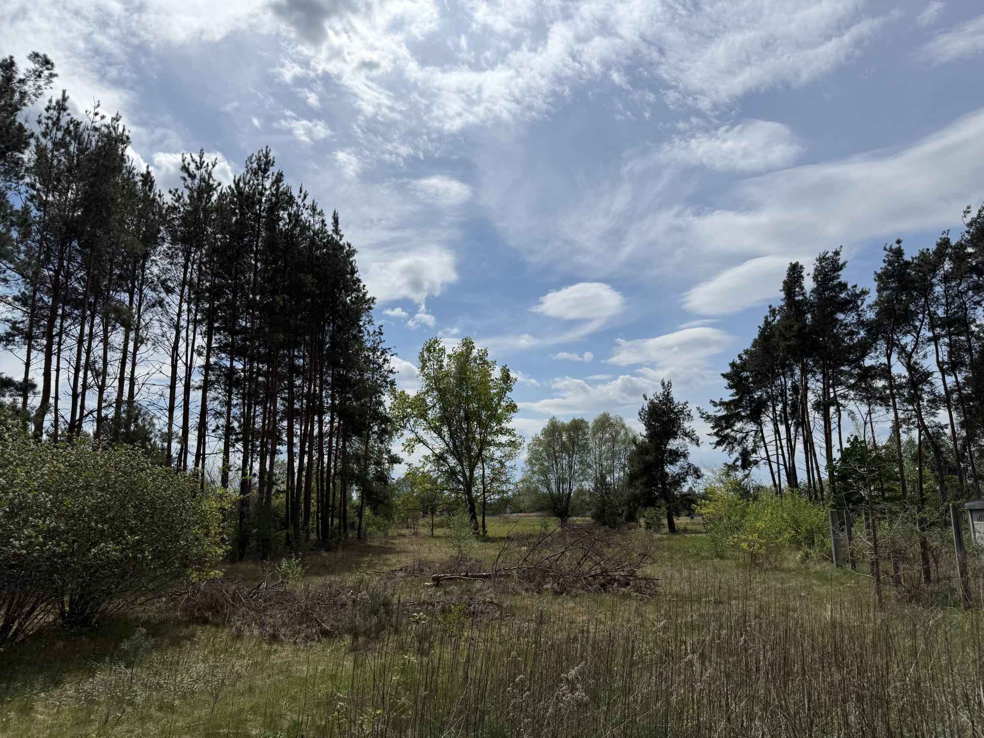 Siedlisko nad rzeką 50 km od Warszawy Tłuszcz - zdjęcie 5