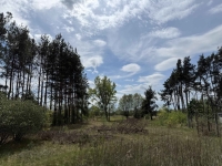 Siedlisko nad rzeką 50 km od Warszawy Tłuszcz - zdjęcie 5