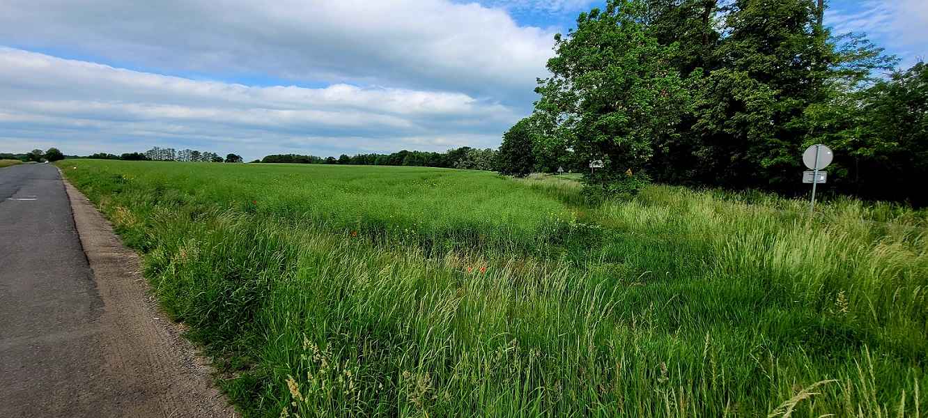 Działka Rolna (37800 m2) gm. Kąty Wrocławskie (Skałka) Skałka - zdjęcie 1
