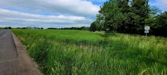 Działka Rolna (37800 m2) gm. Kąty Wrocławskie (Skałka)