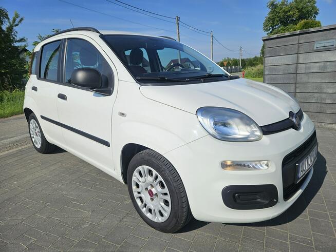 Fiat Panda Polski salon, Bezwypadkowy Liszki - zdjęcie 3