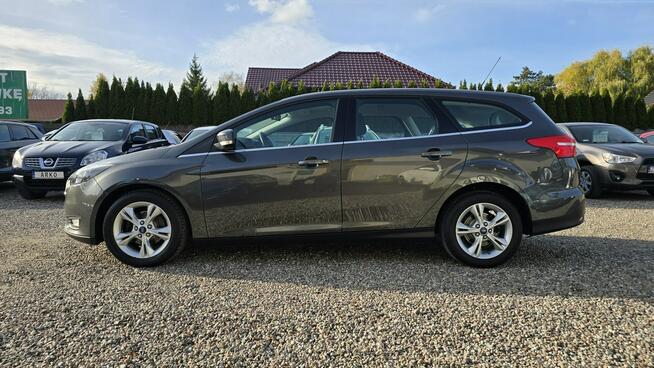 Ford Focus LED, serwisowany Zieleniewo - zdjęcie 5