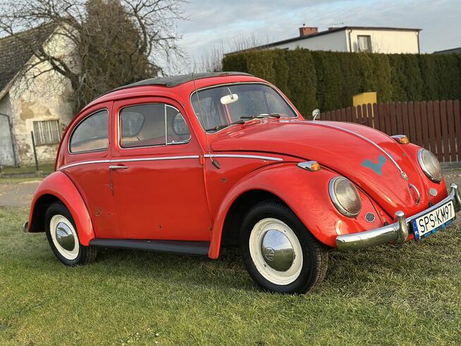 VW Volkswagen Garbus dziadek 1959 rok. Zarejestrowany w PL Pszczyna - zdjęcie 1