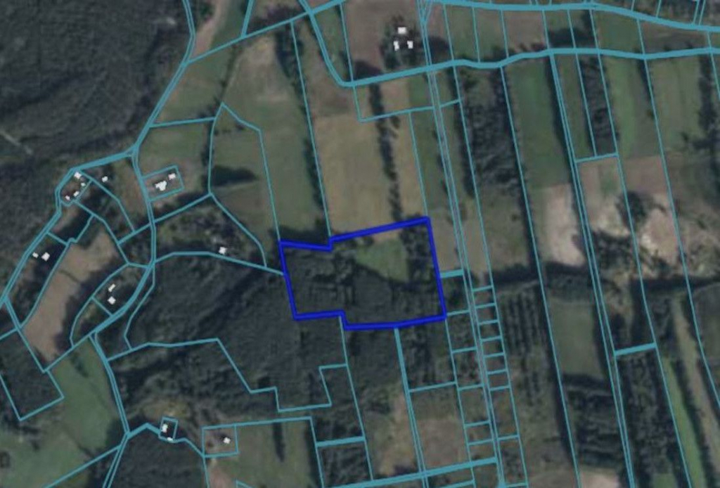 Duża działka rolna Łęczno - zdjęcie 3