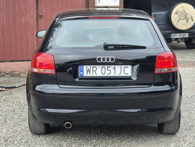 Audi A3 2008, 1.6B 102KM, Bardzo Zadbany, Z Niemiec-Zarejestrowany Radom - zdjęcie 5