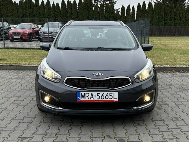 Kia Cee'd Grzane*Fotele*Klimatyzacja*Serwis*ASO*Zarejestrowana Kotarwice - zdjęcie 2