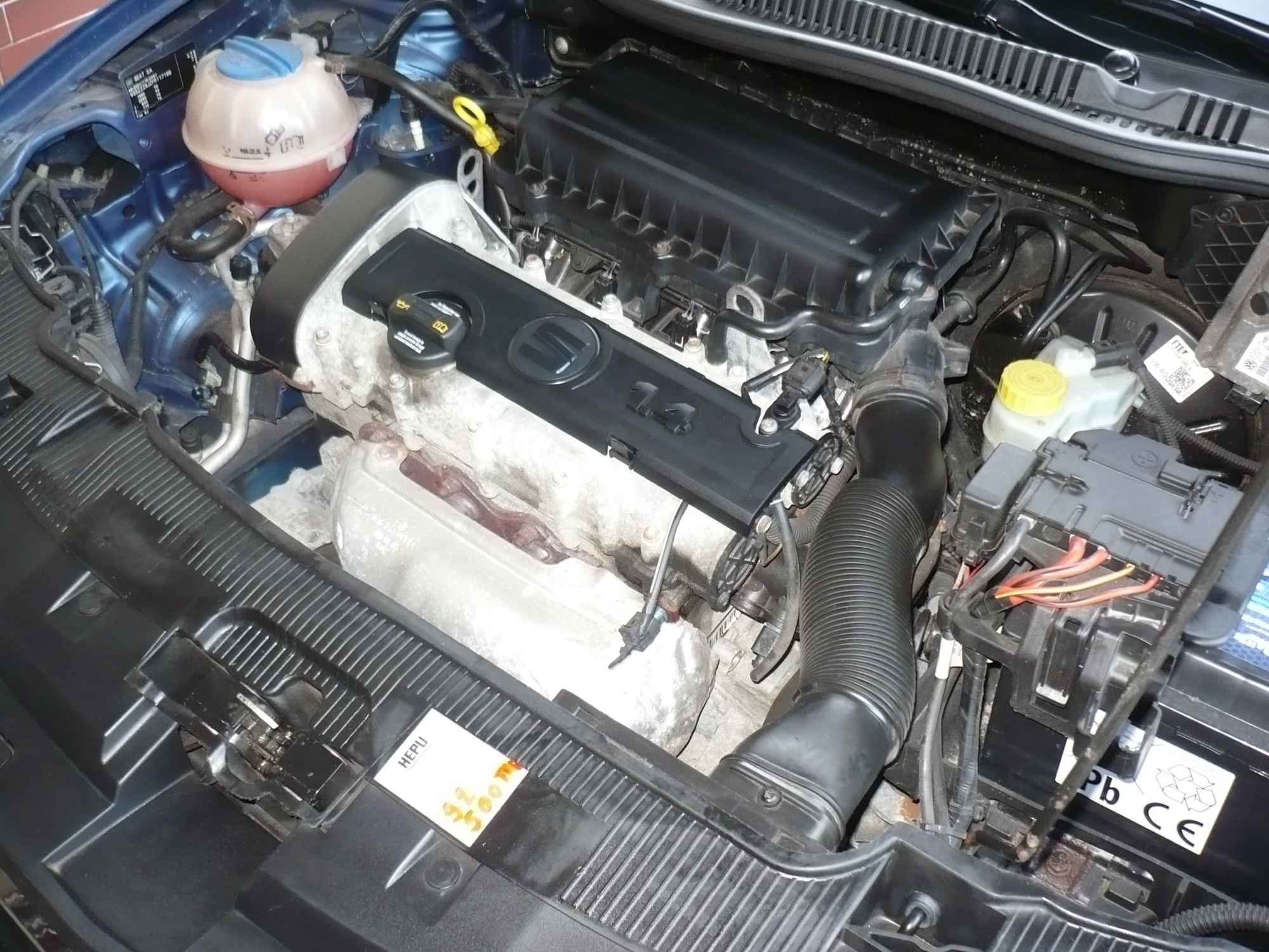 Seat Ibiza 1.4 85km. Niski Przebieg. Piękny kolor. Sztum - zdjęcie 5