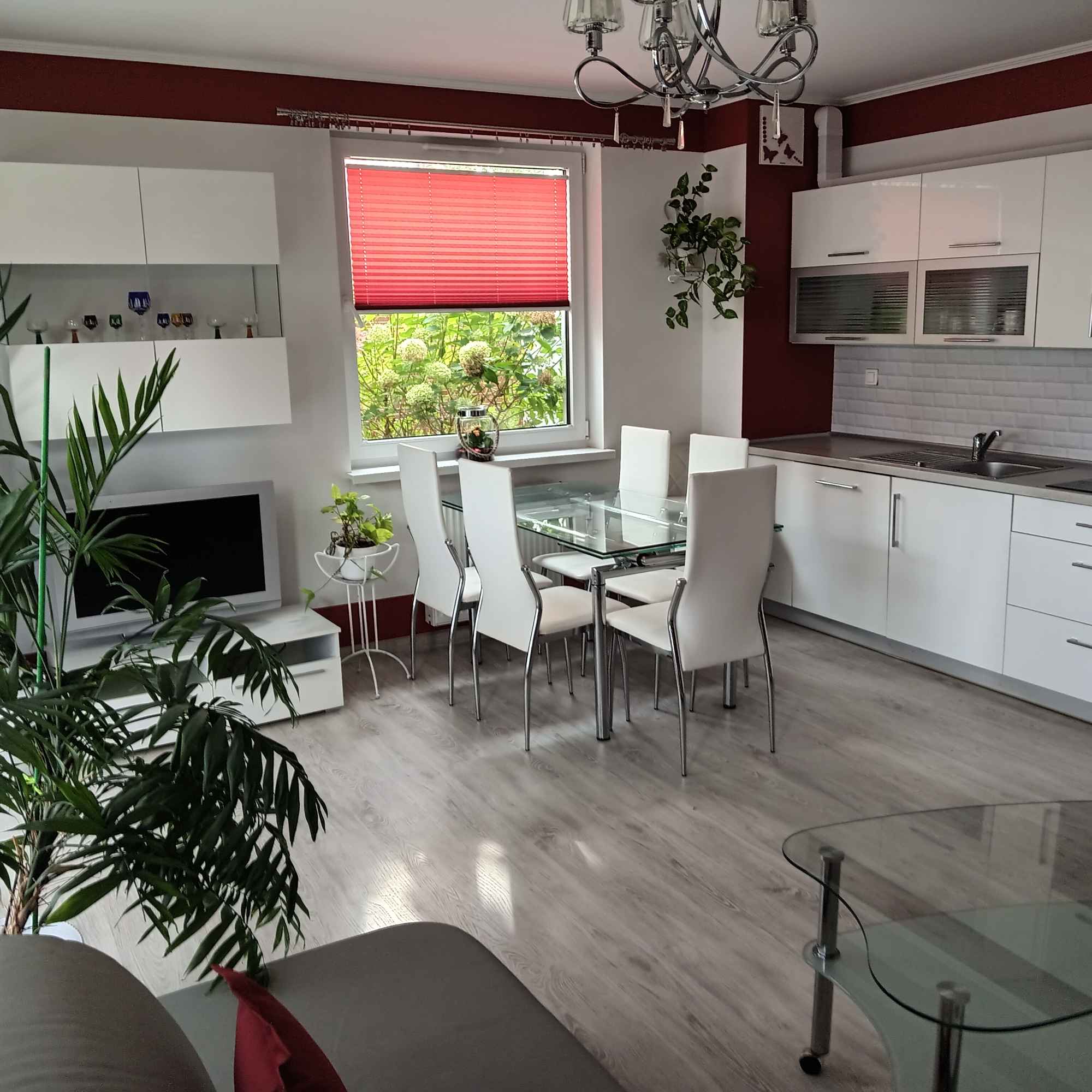 Mieszkanie 52 m2 z ogródkiem 111 m2 Płock - zdjęcie 8