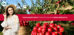 ZBIORY JABŁEK I GRUSZEK W HOLANDII (M/K)