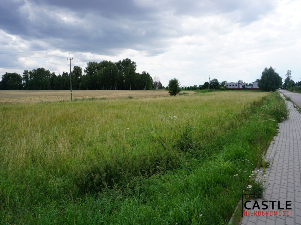 Działka 6303 m² | Bogatka koło Gdańska Bogatka - zdjęcie 3