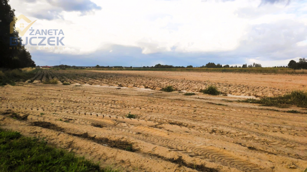 Sprzedam działki budowlane w miejscowości Walentów Walentów - zdjęcie 4