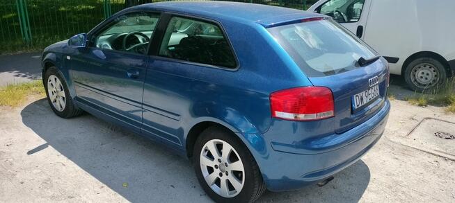 Audi A3 8p 1.9 TDI Psie Pole - zdjęcie 9
