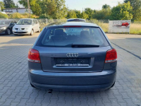 Audi A3 1.6i  103 PS MPI alufelgi klimatronik parktronik stan BDB Gryfino - zdjęcie 6