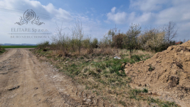 Piekna działka budowlana, połozona w cichej i zielonej okloicy. Lutynia - zdjęcie 12