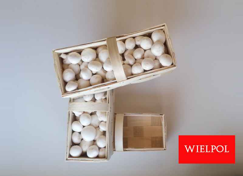 Opakowania do białych pieczarek / białej pieczarki Wielichowo - zdjęcie 9