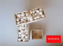 Opakowania do białych pieczarek / białej pieczarki Wielichowo - zdjęcie 9