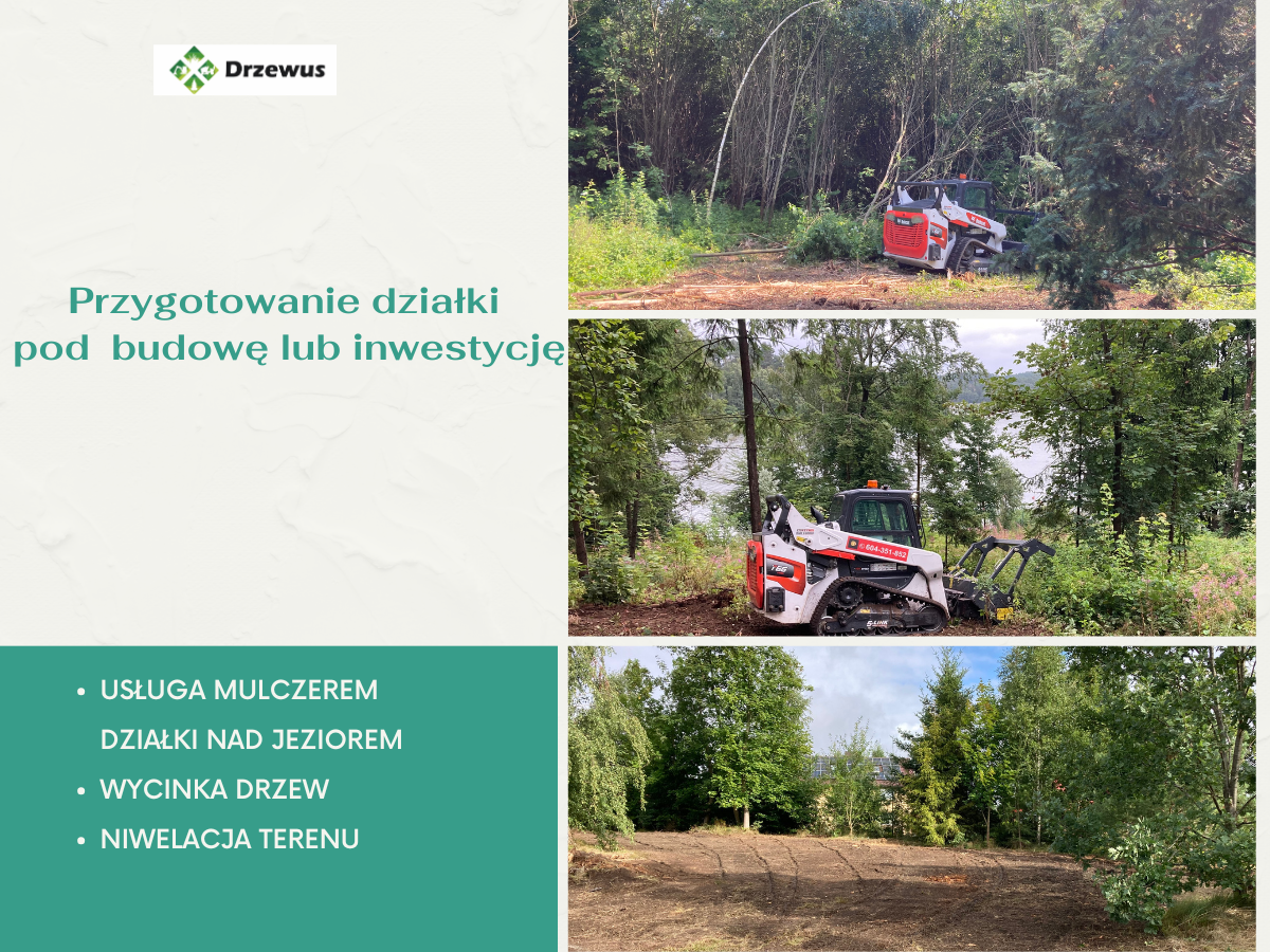 Czyszczenie działki i przygotowanie terenu pod budowę  -DRZEWUS Gdańsk - zdjęcie 5