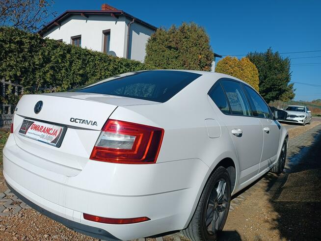 Škoda Octavia krajowa Chełm Śląski - zdjęcie 12