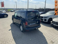 Volkswagen Caddy HAK Klimatronik Podrzewanie